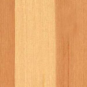 Textur vom Holz der Kiefer