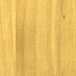 Textur vom Holz der Zypresse