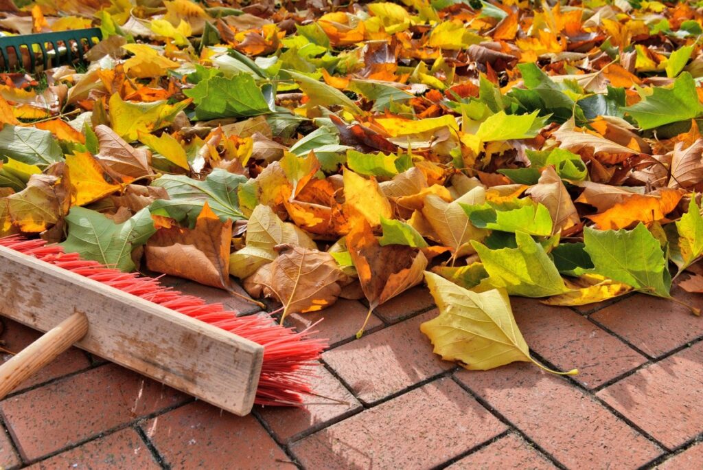 Herbstlaub richtig entsorgen – Verbraucherzentrale NRW gibt Tipps