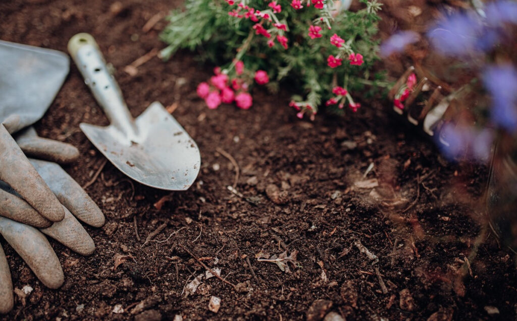 Frühlingsbeginn: Mit Kompost den Gartenboden verwöhnen